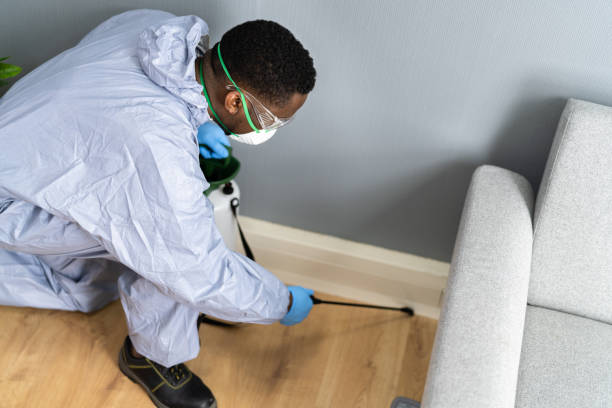 Best Pest Prevention Services  in Friona, TX